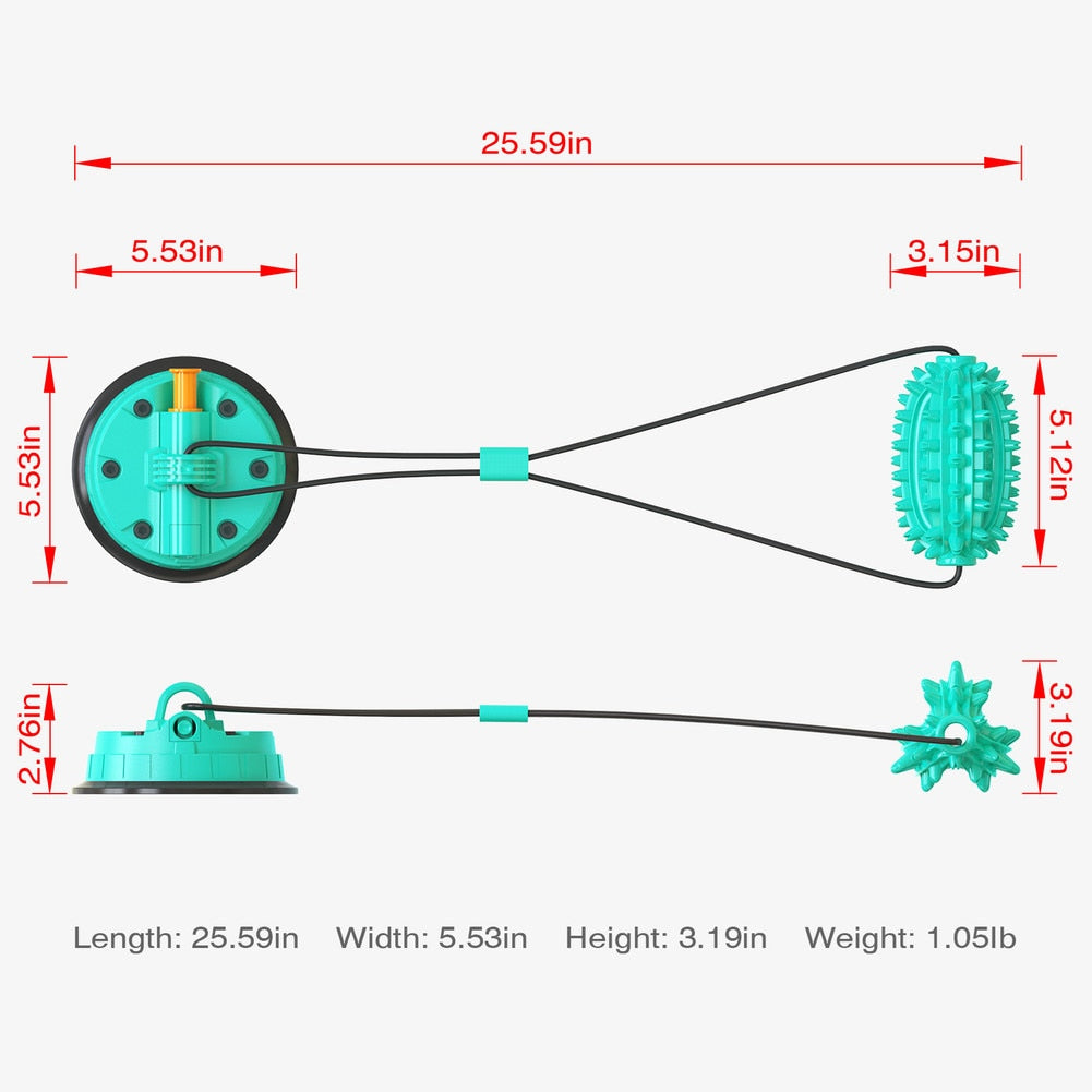 Premium Molar Bite Toy