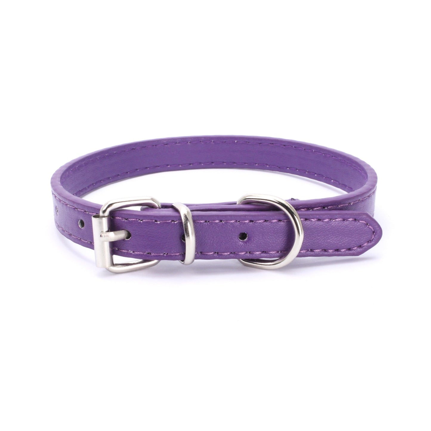 Buckle Dog collar