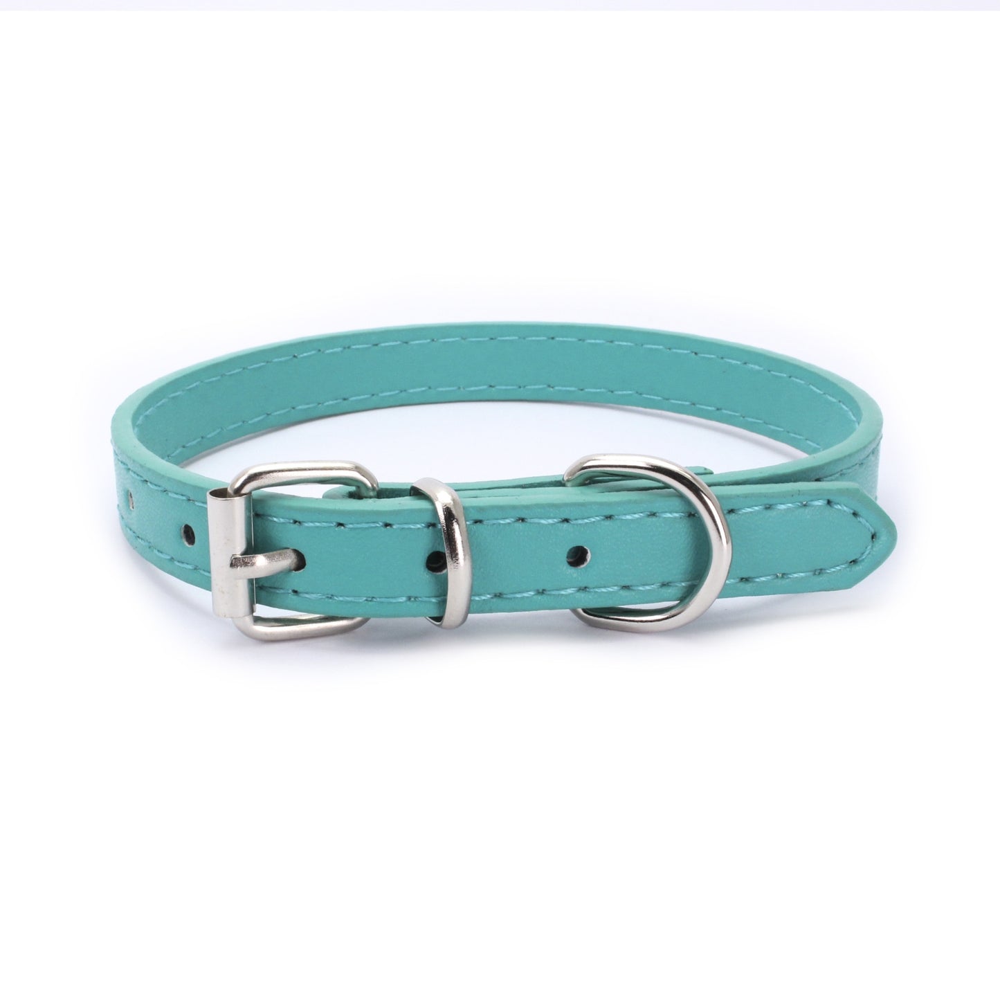 Buckle Dog collar