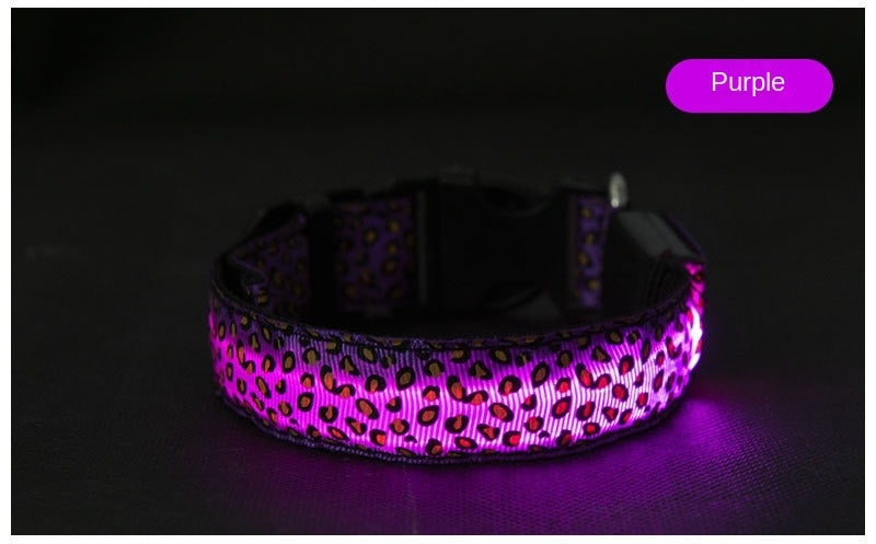 LED Luminous Collar