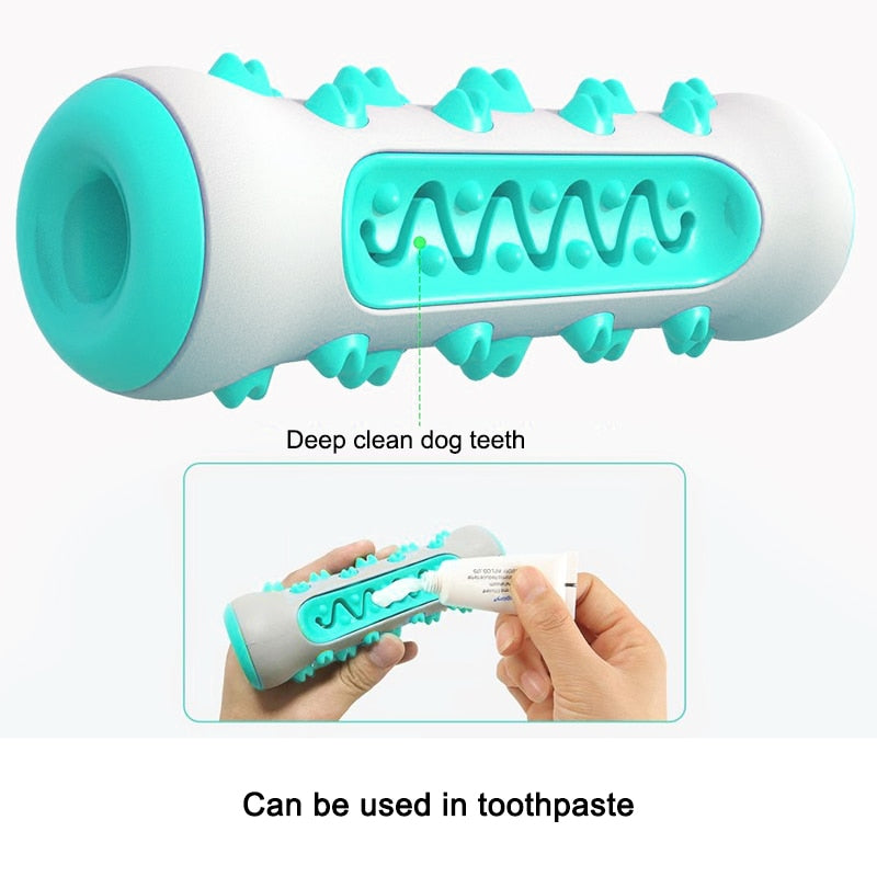 Molar Chew Toy