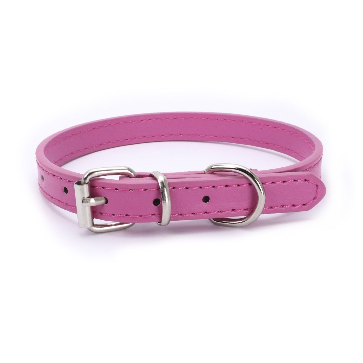 Buckle Dog collar