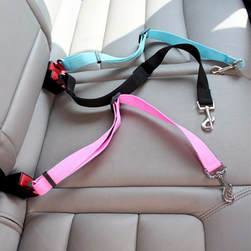 Car Safety Belt