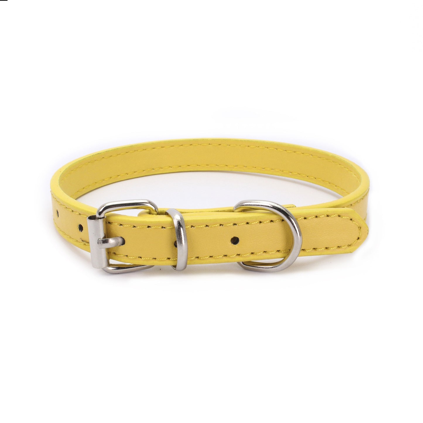 Buckle Dog collar