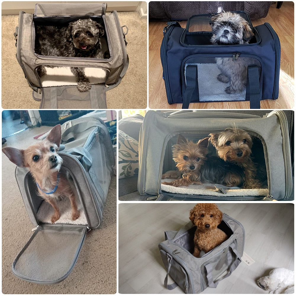 Stylish Dog Carrier - Small Dog