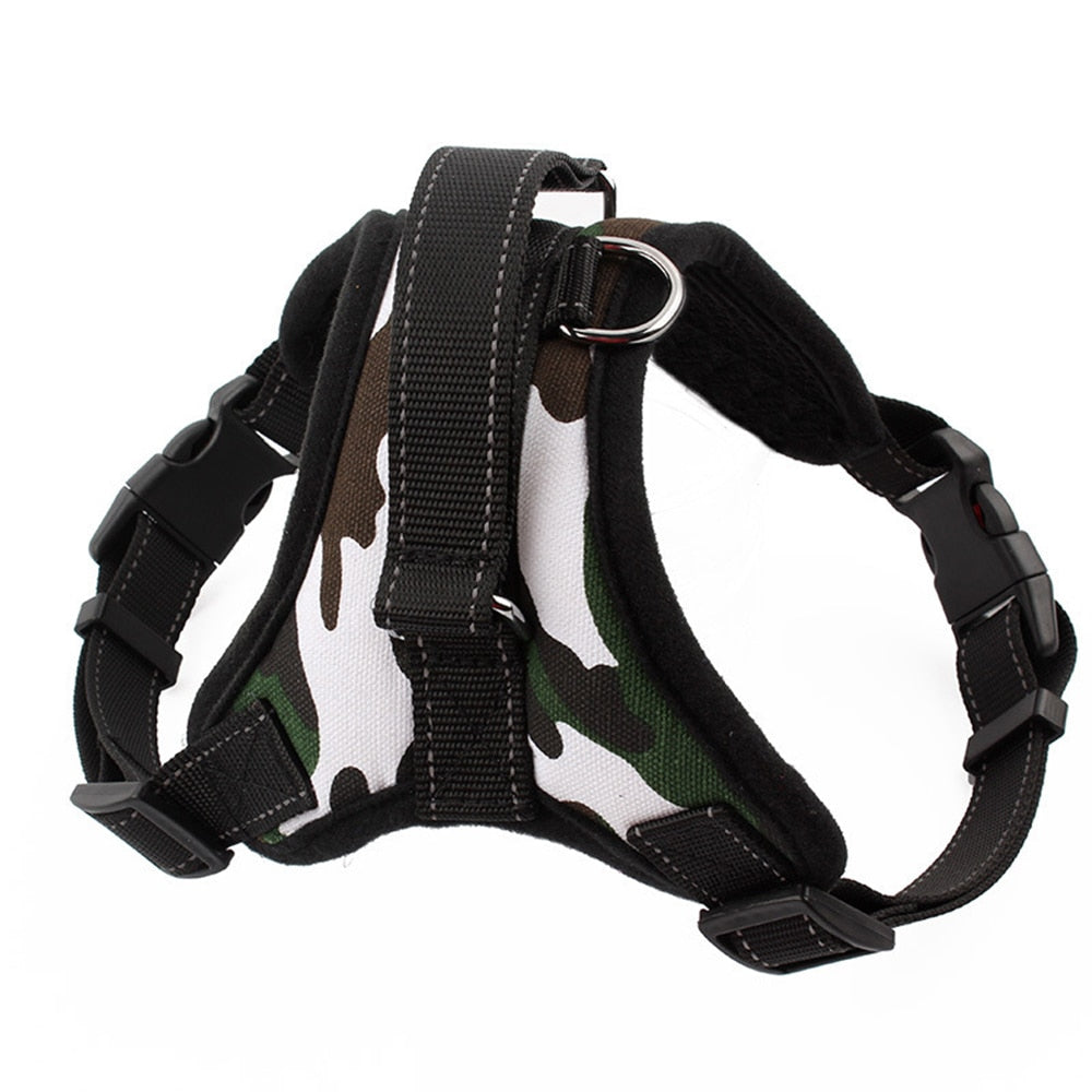 'Camou' Harness and Rope Lead