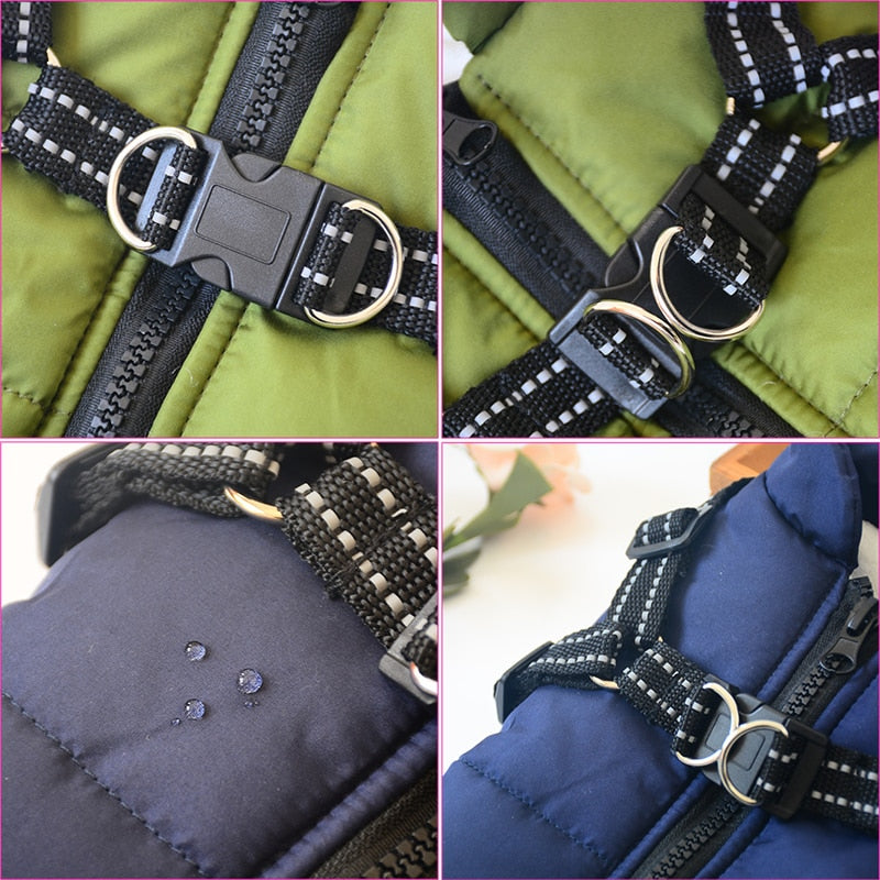 Premium Dog Jacket With Harness