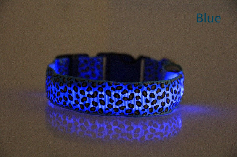 LED Luminous Collar