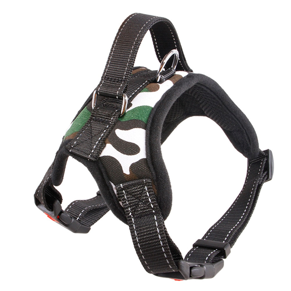 'Camou' Harness and Rope Lead