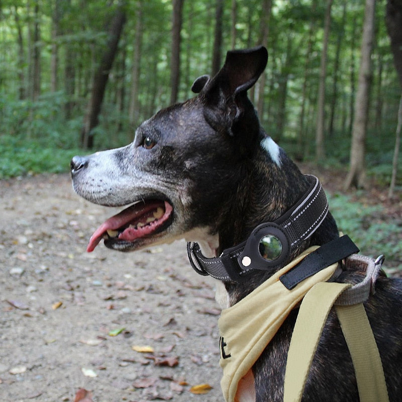 Apple Airtag Tracker Collar